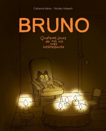 Bruno - Click to enlarge picture.