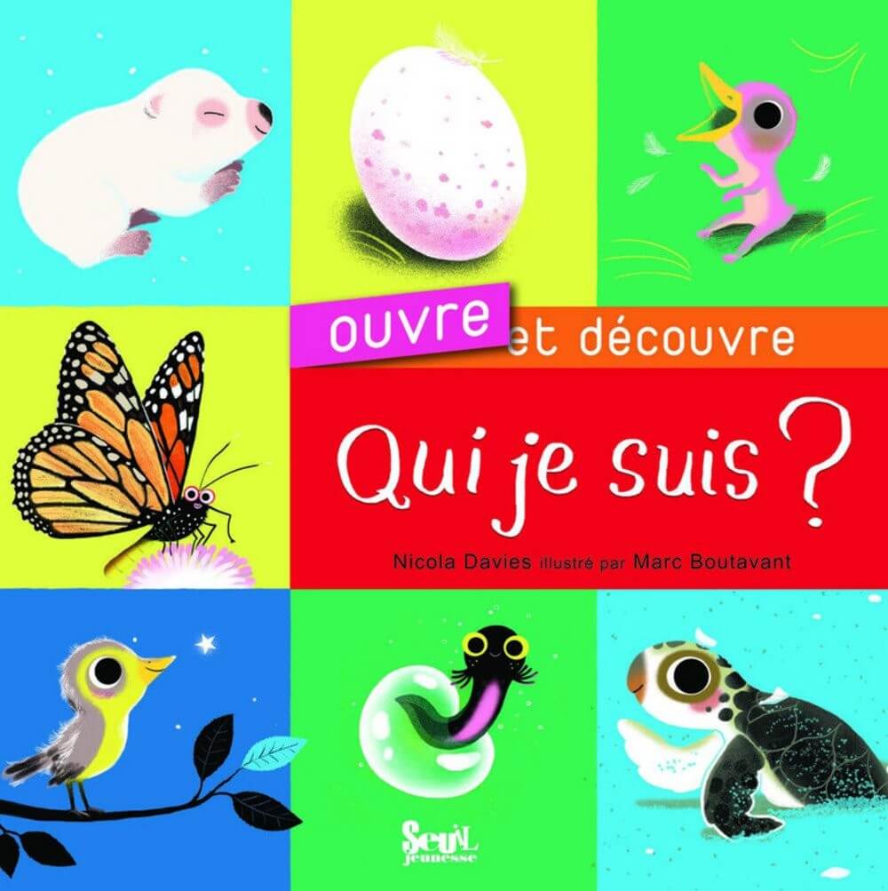 Qui sui-je ? - Click to enlarge picture.