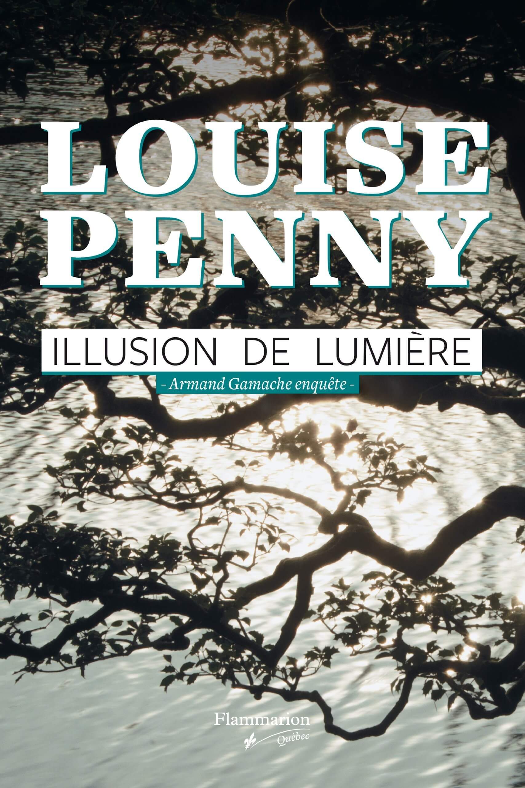 Illusion de Lumière - Click to enlarge picture.
