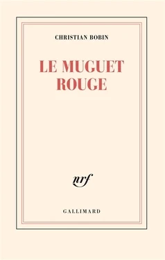 Le muguet rouge - Click to enlarge picture.