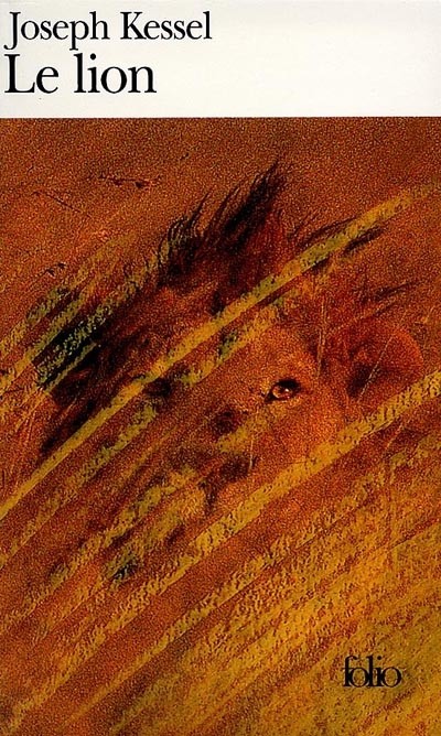 Le lion - Click to enlarge picture.
