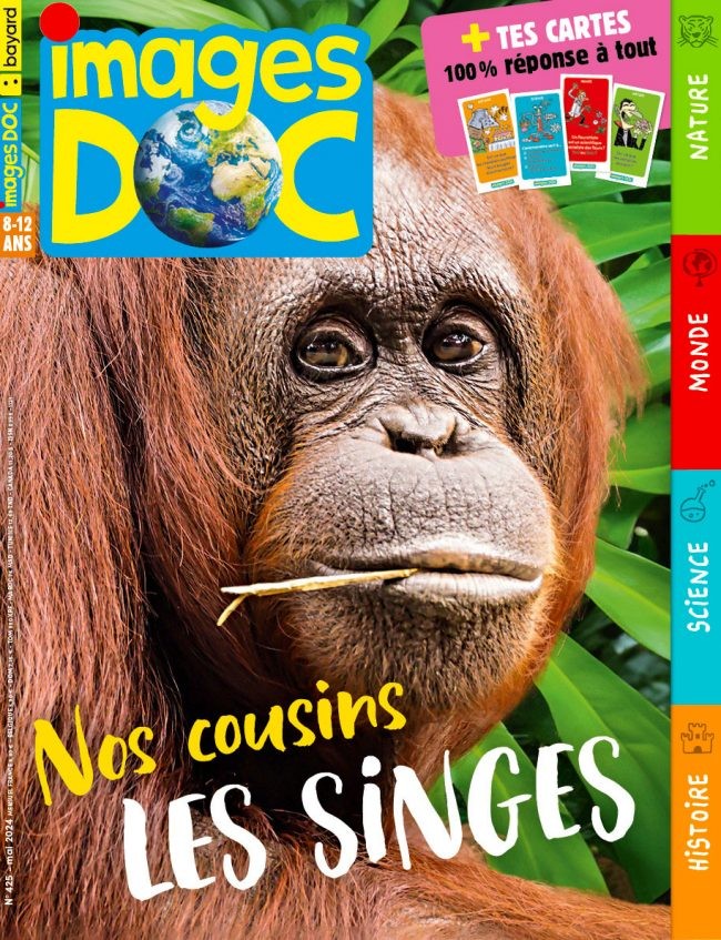 Images Doc - Click to enlarge picture.