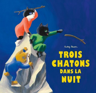 Trois chatons dans la nuit - Click to enlarge picture.