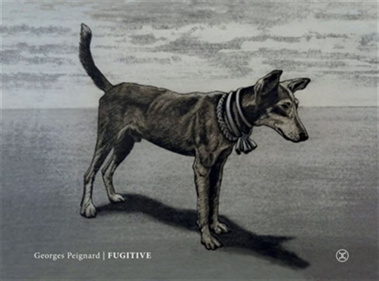 Fugitive - Click to enlarge picture.