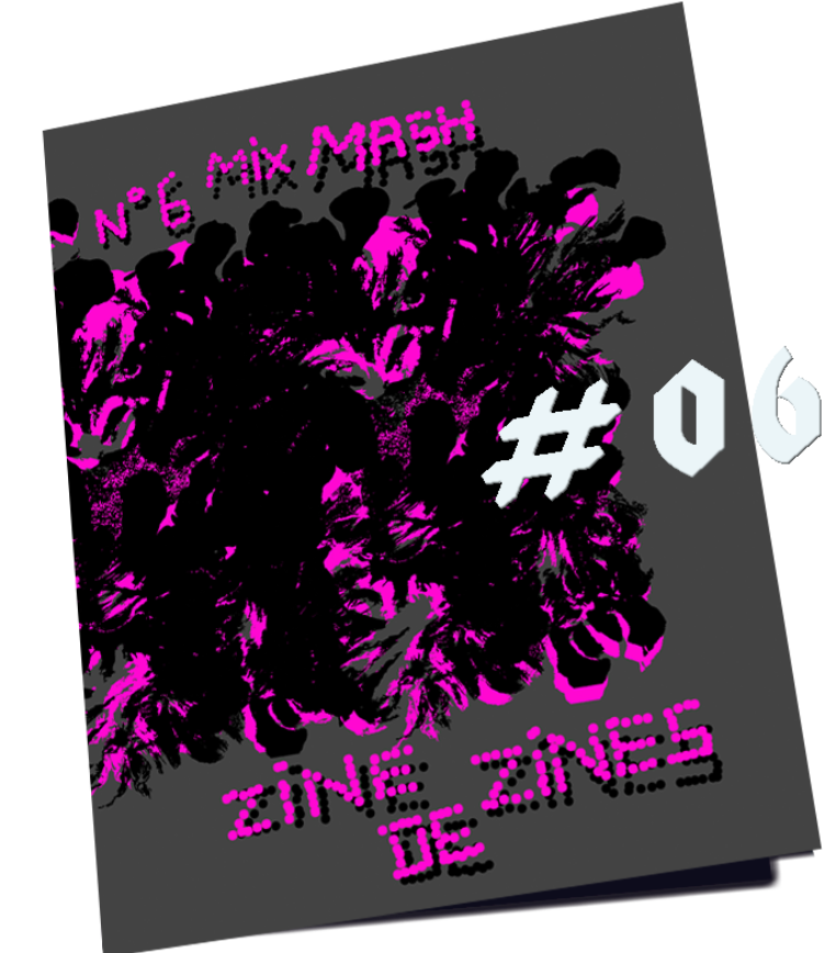 Zine de Zines - Click to enlarge picture.