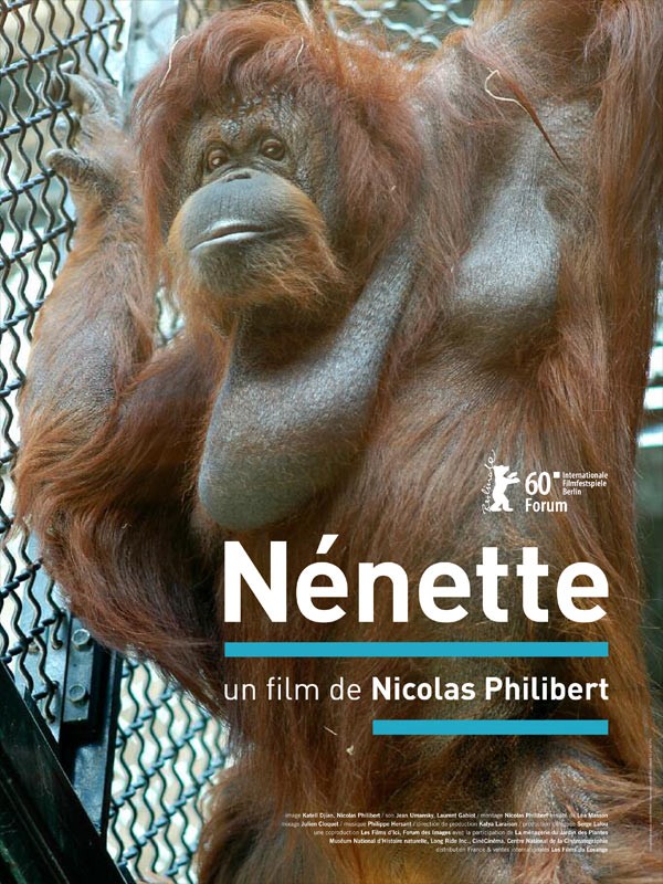 Nénette - Click to enlarge picture.