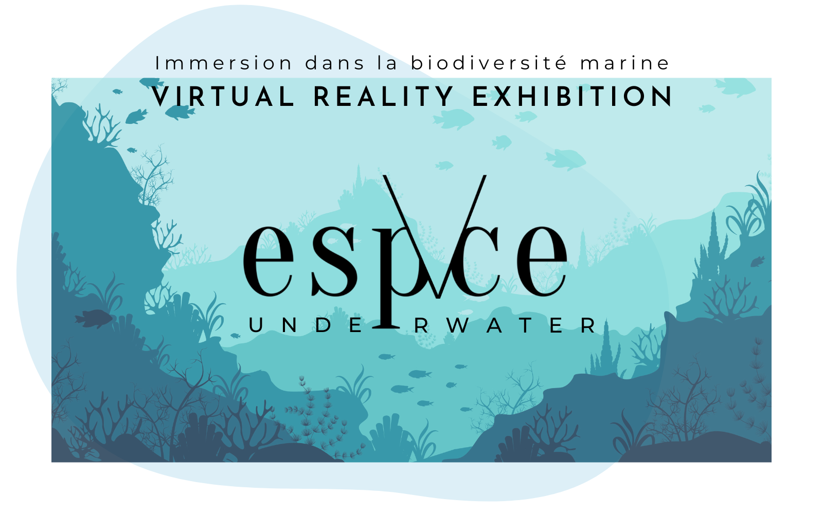 ESPACE V UNDERWATER | Immersion dans la biodiversité marine